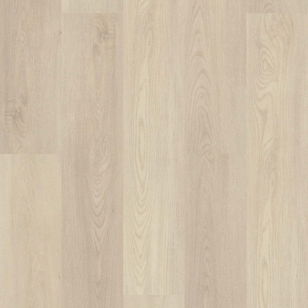 Silver Dollar Shaw Floorte PRO Paladin Vinyl Plank