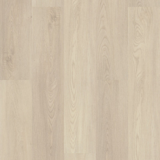 Silver Dollar Shaw Floorte PRO Paladin Vinyl Plank