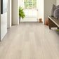 Silver Dollar Shaw Floorte PRO Paladin Vinyl Plank