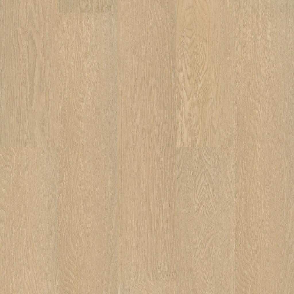 Oceanfront Shaw Floorte PRO Paladin Vinyl Plank