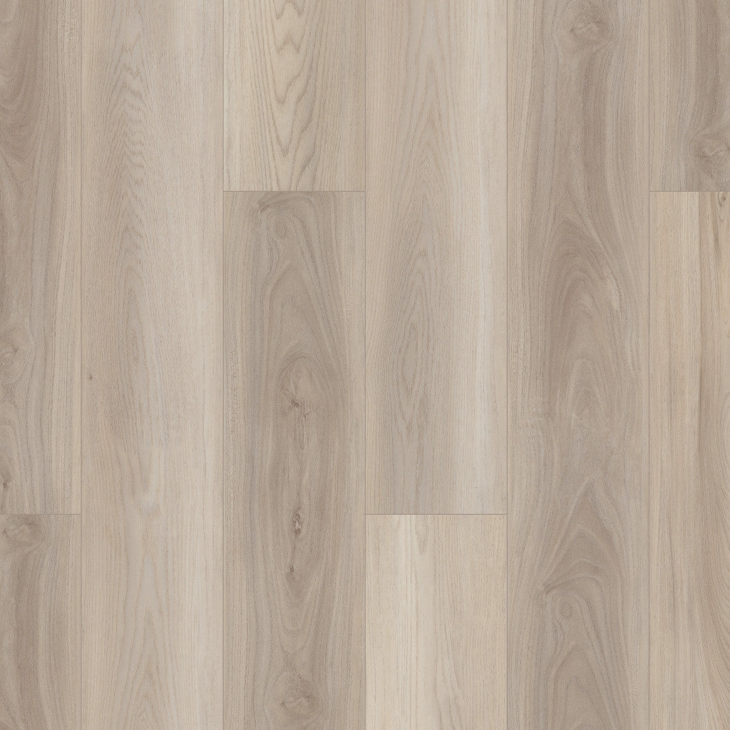 Lighthouse Shaw Floorte PRO Paladin Vinyl Plank