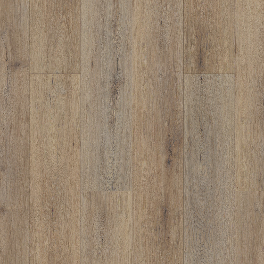 Wild Dunes Shaw Floorte PRO Paladin Vinyl Plank