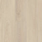 Silver Dollar Shaw Floorte PRO Endura Vinyl Plank