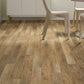 Touch Pine Shaw Floorte PRO Paragon Vinyl Plank