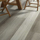 Modern Oak Shaw Floorte Titan HD Plus Platinum Vinyl Plank