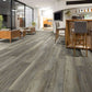 Silver Oak Shaw Floorte PRO Intrepid HD Vinyl Plank