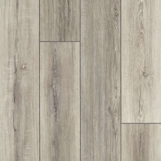 Basillica Shaw Floorte PRO Tenacious HD Vinyl Plank