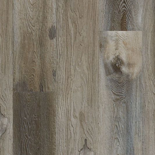 Raccoon SolidTech Explorers Cove Select Vinyl Plank