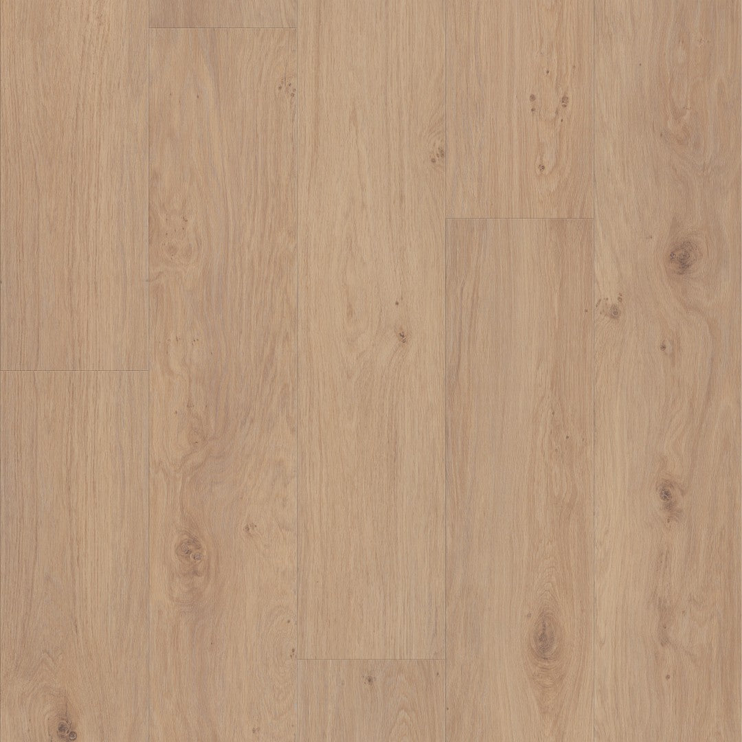 Shaw Fresh Take 9" x 59" Vinyl 20 Mil SPC Plank