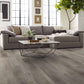 Shaw-Floors-Paragon-Plus-5-x-48-Vinyl-20-Mil-SPC-Plank-Distinct-Pine