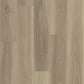 Shaw Fresh Take 9" x 59" Vinyl 20 Mil SPC Plank