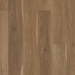 Shaw Pantheon HD+ Natural Bevel 7" x 48" Vinyl 20 Mil WPC Plank