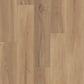 Shaw Fresh Take 9" x 59" Vinyl 20 Mil SPC Plank