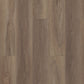 Shaw Paragon Plus 7" x 48" Vinyl 20 Mil SPC Plank