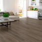 Shaw-Floors-Infinite-LL-6-x-48-Vinyl-20-Mil-Plank-Route-66