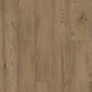 Shaw Paragon HD+ Natural Bevel 7" x 48" Vinyl 20 Mil SPC Plank