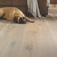 Shaw-Exquisite-7.5-Hardwood-Plank-BEIGED-HICKORY