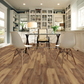 Belmont Hickory