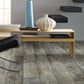 Calcare Shaw Floorte Pantheon HD Vinyl Plank