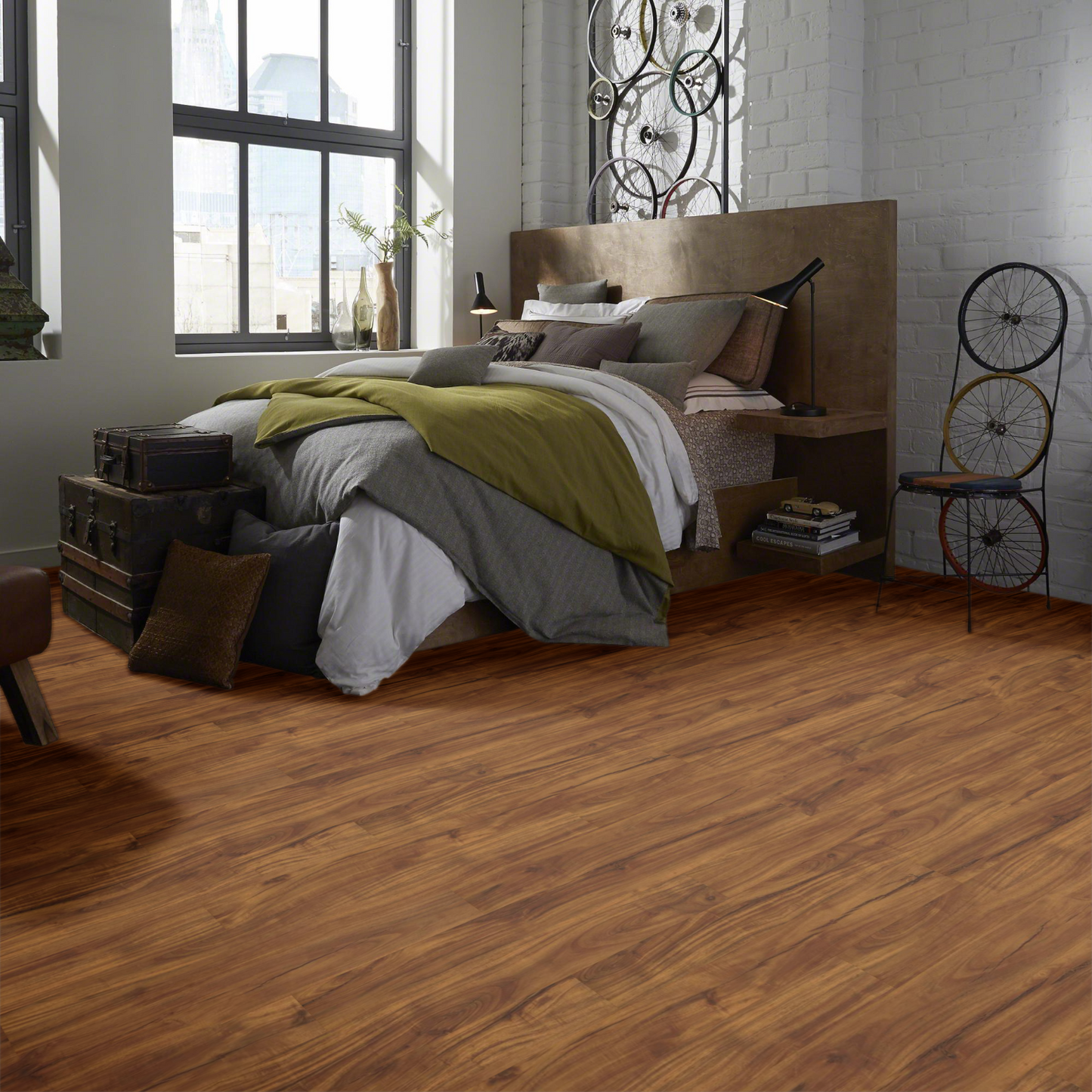 Gold Coast Acacia