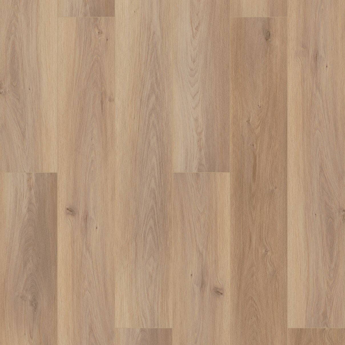 Wiltshire Oak