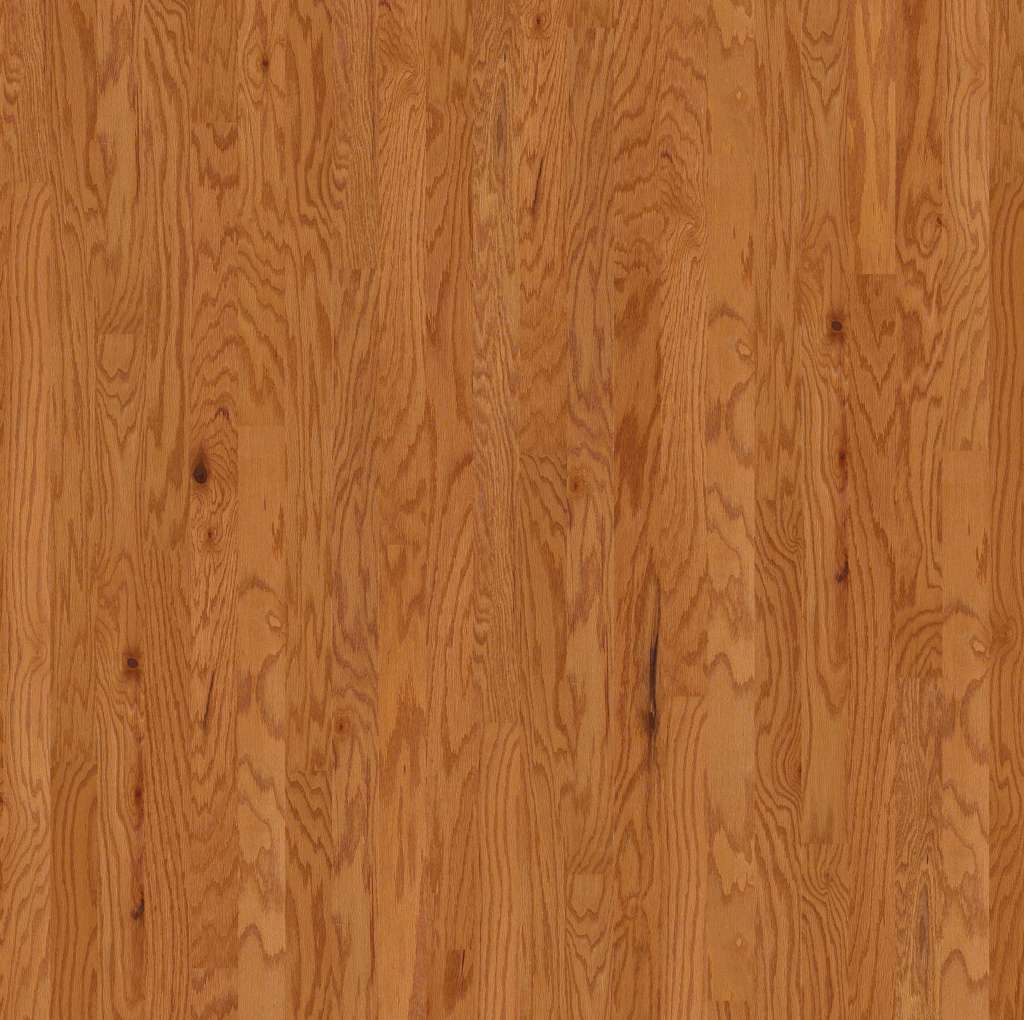 Caramel 3 1/4" Shaw Albright Oak Hardwood