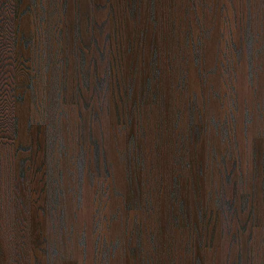 Coffee Bean 3 1/4" Shaw Albright Oak Hardwood