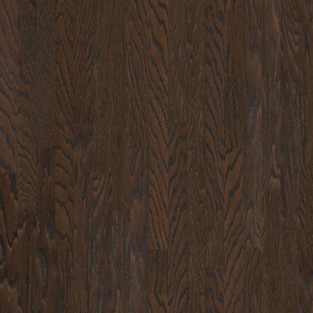 Chocolate 3 1/4" Shaw Albright Oak Hardwood