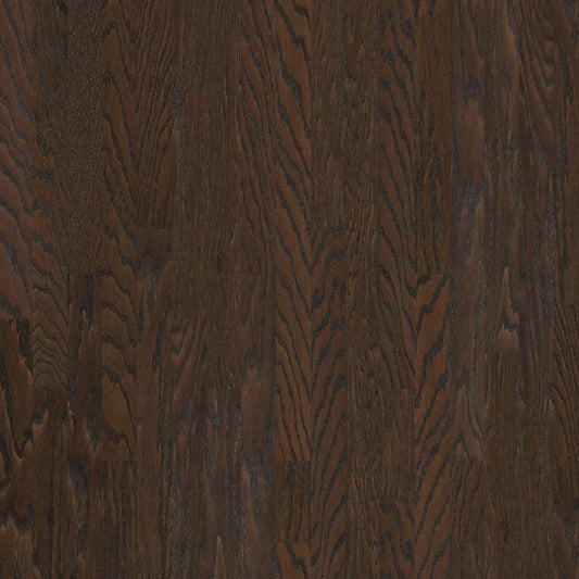 Chocolate 3 1/4" Shaw Albright Oak Hardwood