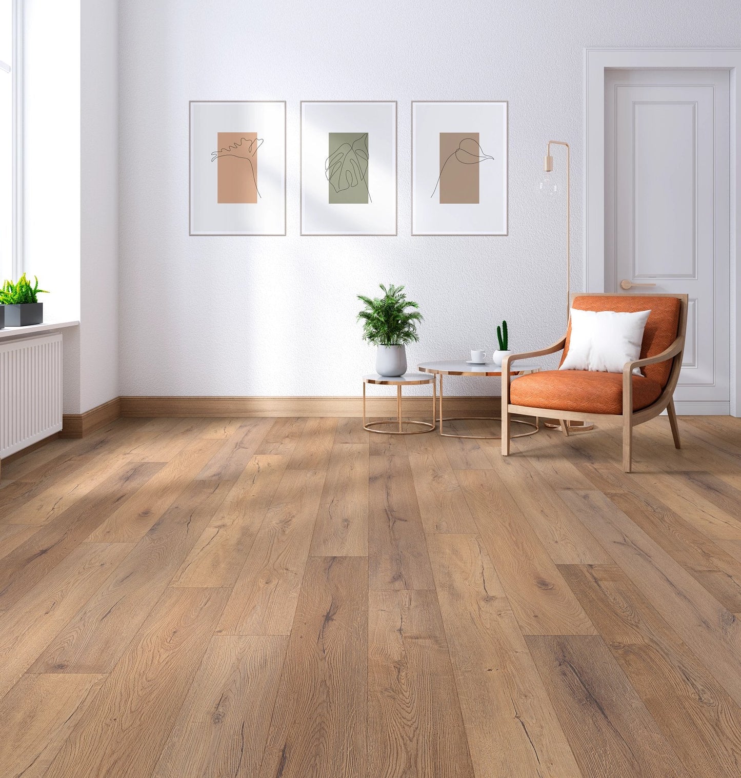 Sand Dollar Oak