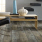 Tempesta Shaw Floorte Pantheon HD Vinyl Plank