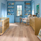 Sand Dollar Oak