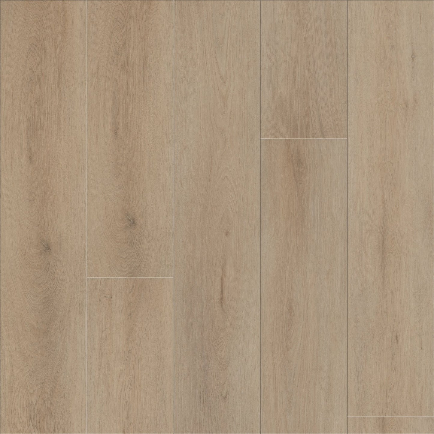 Genova Oak