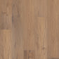 Sand Dollar Oak