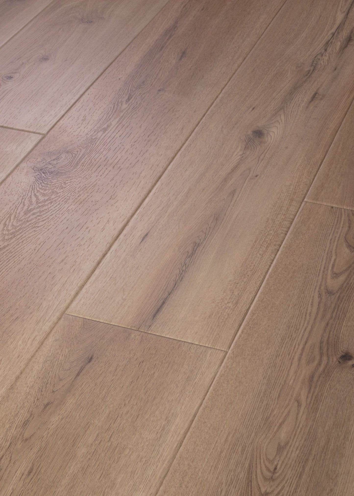 Parchment Oak