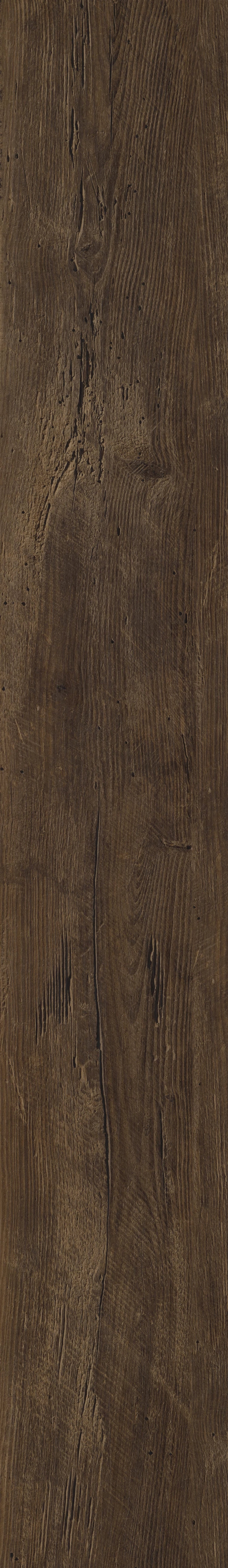 Duxbury Oak