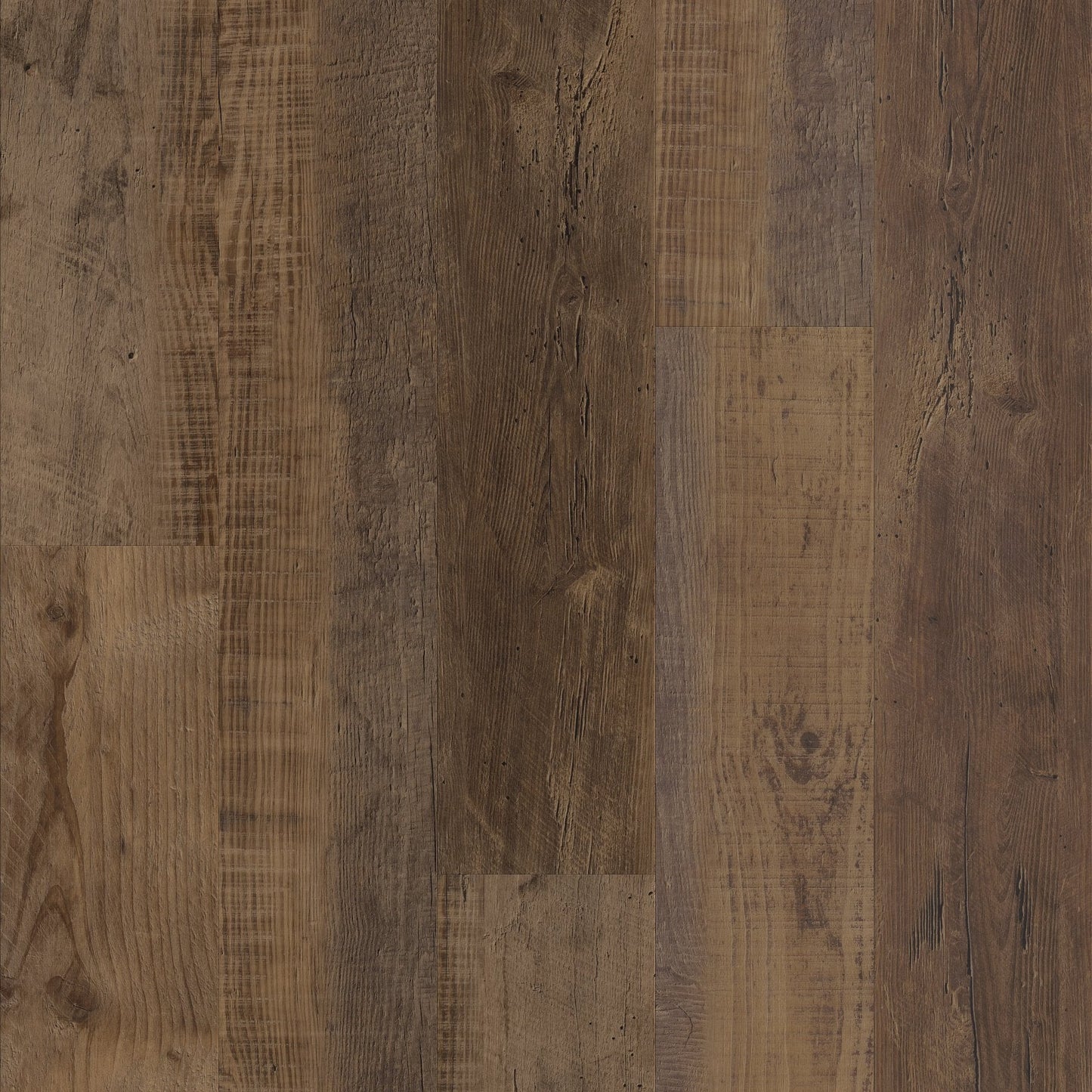 Duxbury Oak