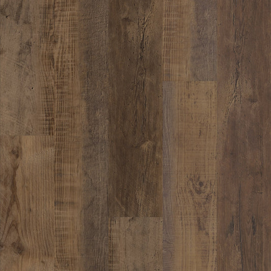 Duxbury Oak