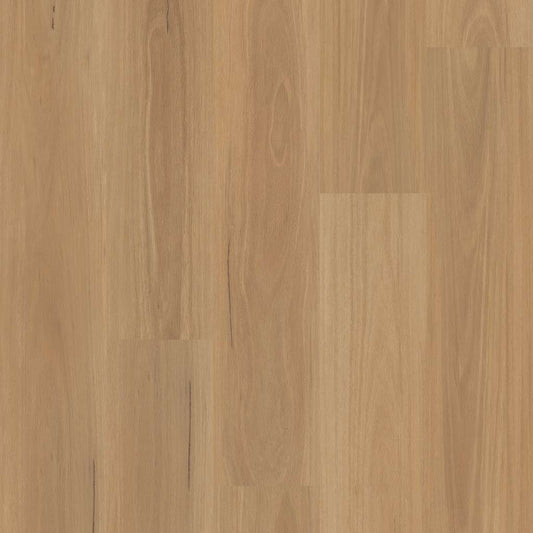 Eucalyptus Shaw Floorte Distinction Vinyl Plank