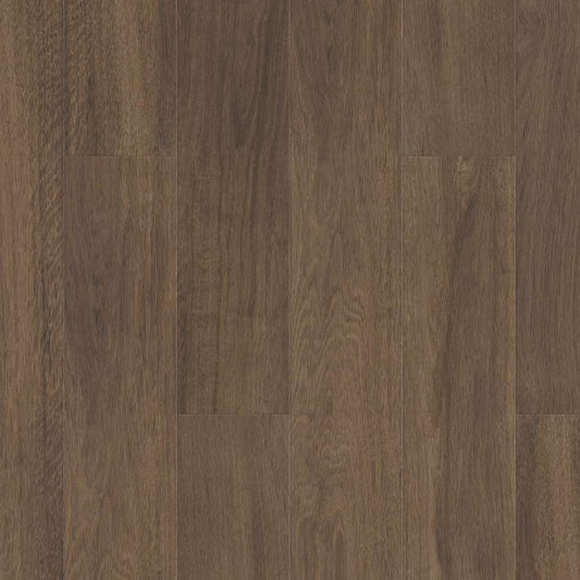 Cordovan Shaw Floorte Pantheon HD + Natural Bevel Vinyl Plank