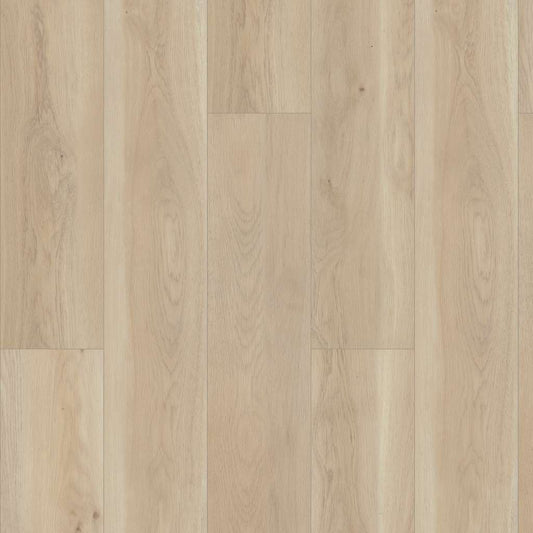 Cambridge Shaw Floorte PRO Paragon HD + Natural Bevel Vinyl Plank