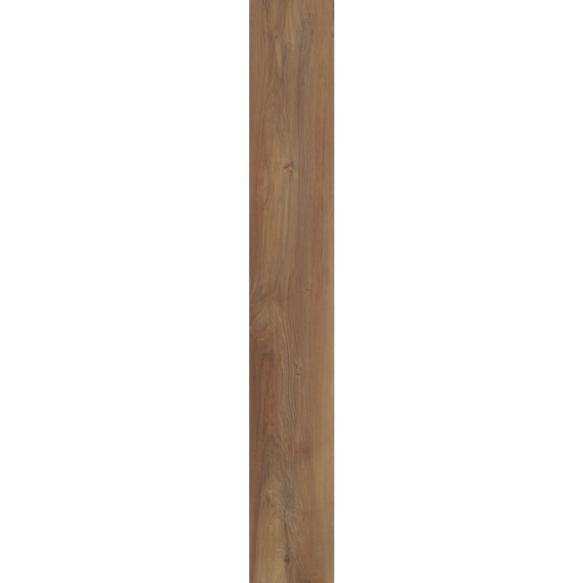 Belmont Hickory
