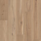 Blonde Oak