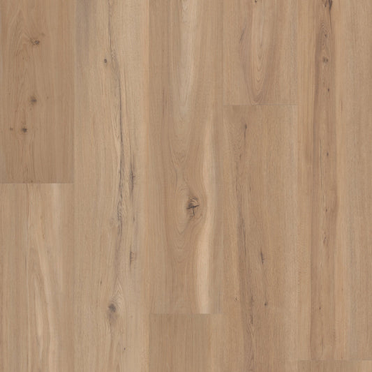 Blonde Oak