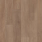 Tawny Beech