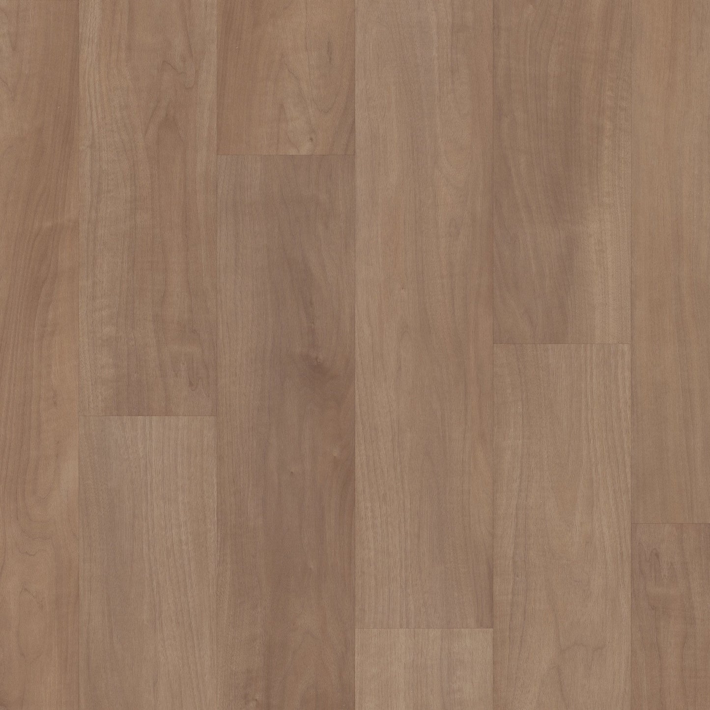 Tawny Beech