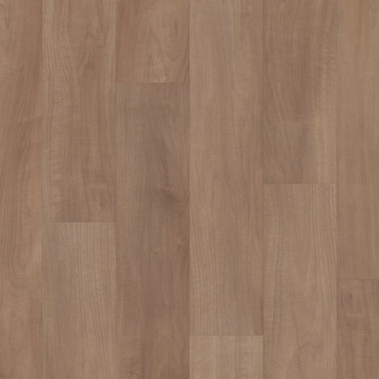Tawny Beech