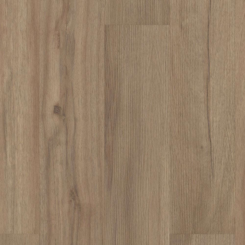 Baywood Oak