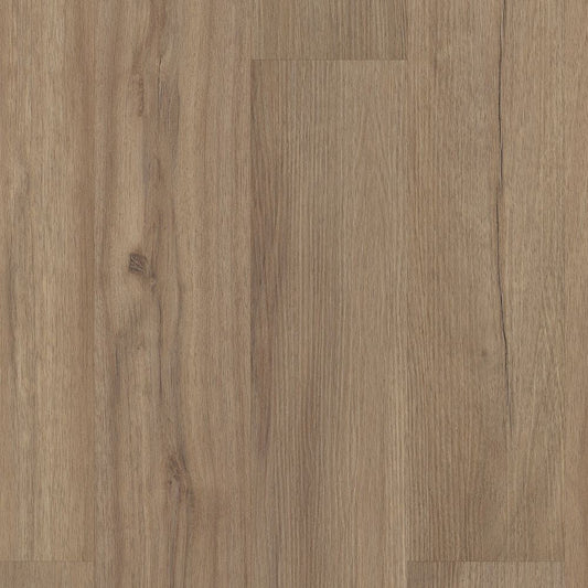 Baywood Oak
