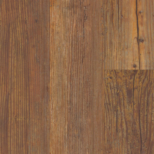 Carolina Pine